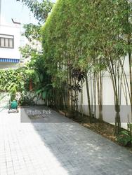Shamrock Park (D10), Terrace #153499042